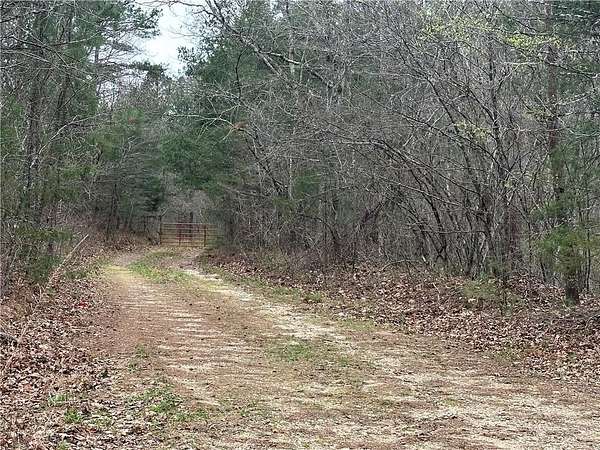 20 Acres of Recreational Land for Sale in Jasper, Arkansas