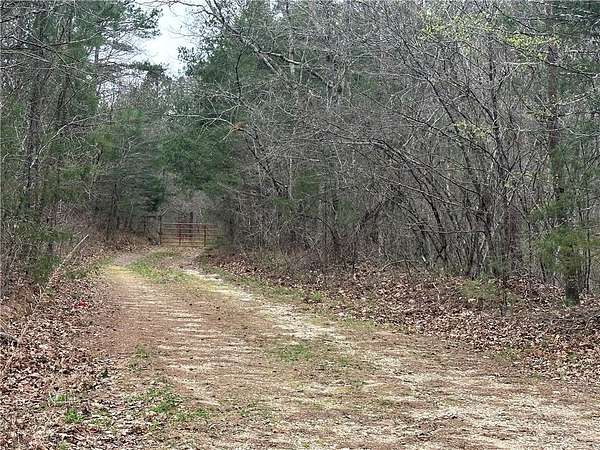 20 Acres of Land for Sale in Jasper, Arkansas