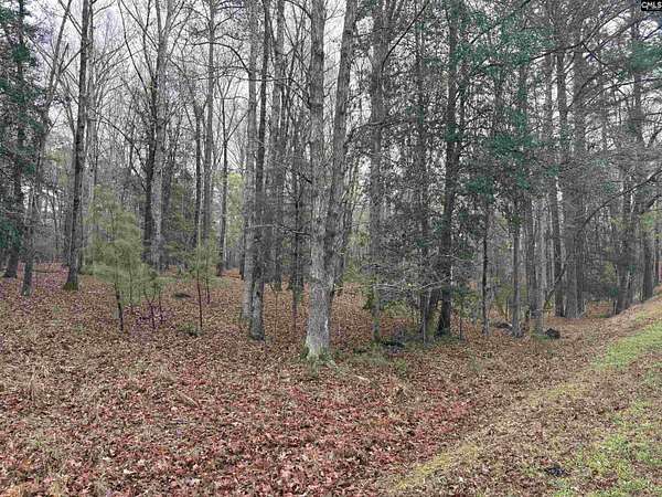 14 Acres of Land for Sale in Ridgeway, South Carolina