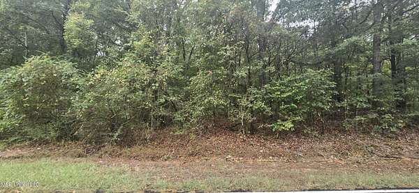 4 Acres of Residential Land for Sale in Olive Branch, Mississippi