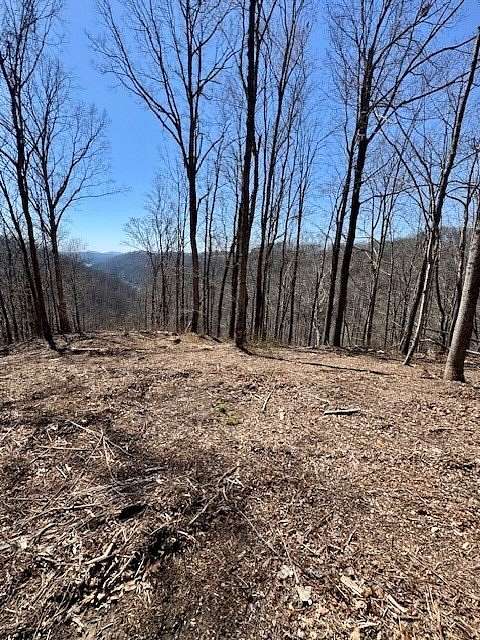 10 Acres of Land for Sale in Celina, Tennessee