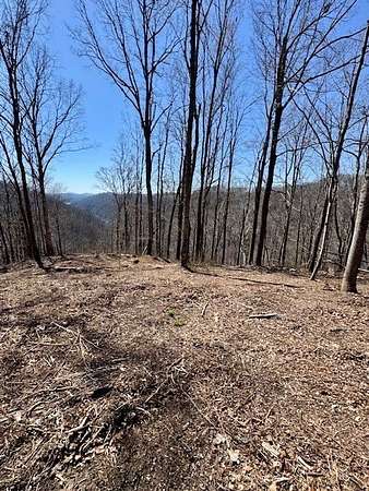 10 Acres of Land for Sale in Celina, Tennessee