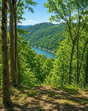 10 Acres of Land for Sale in Celina, Tennessee
