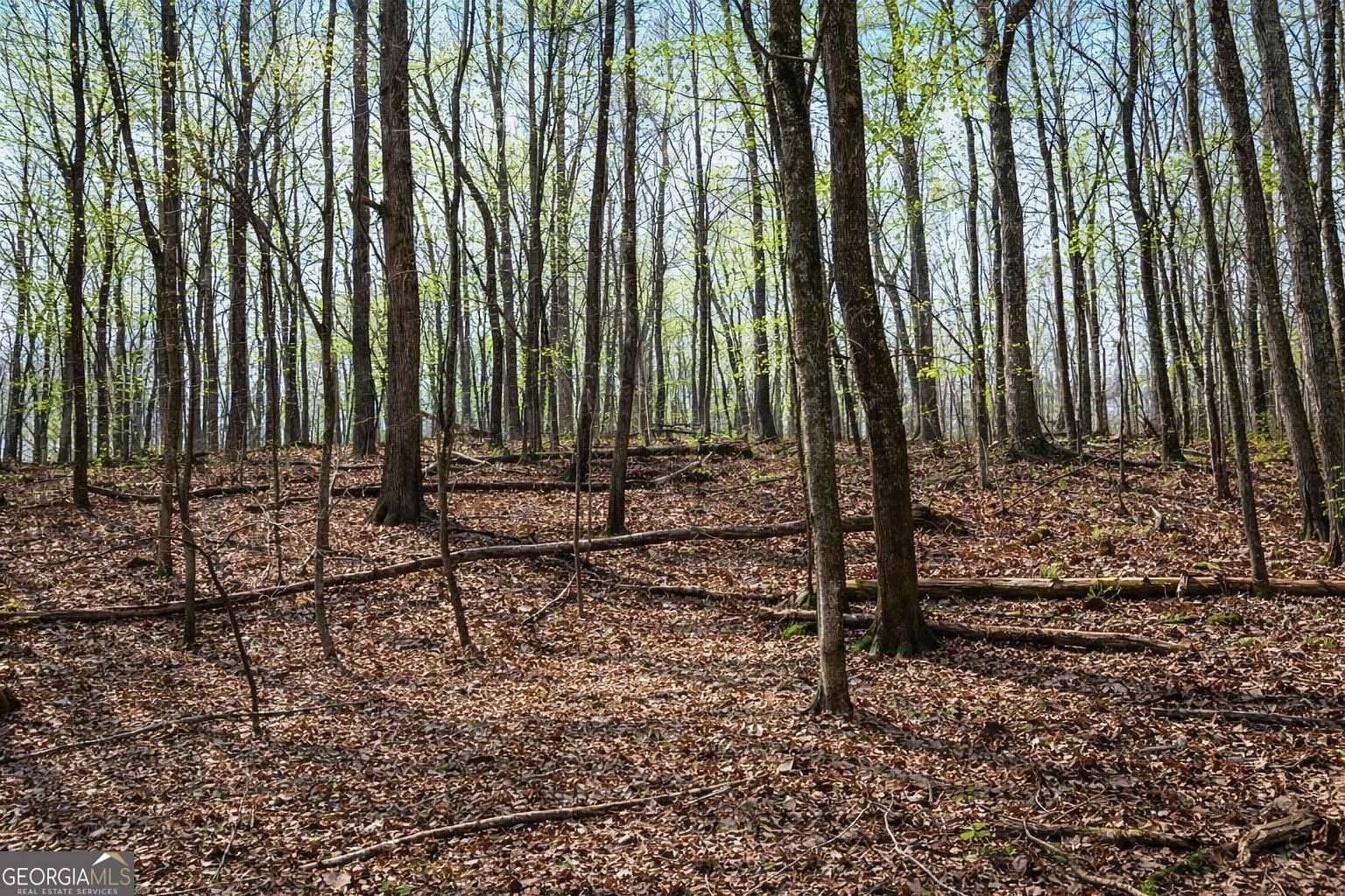 11.9 Acres of Recreational & Residential Land for Sale in Clarkesville, Georgia