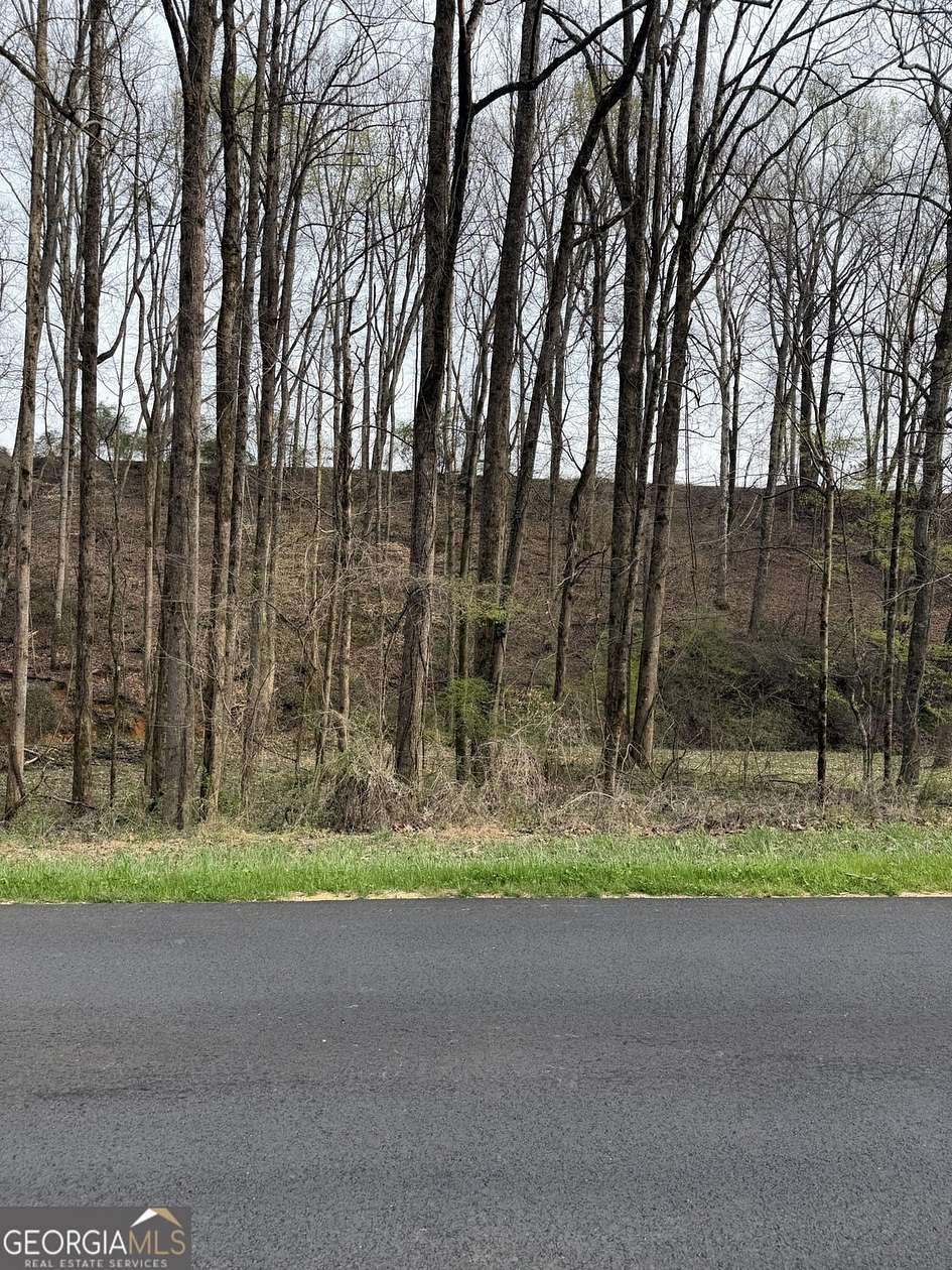 0.32 Acres of Residential Land for Sale in Gainesville, Georgia