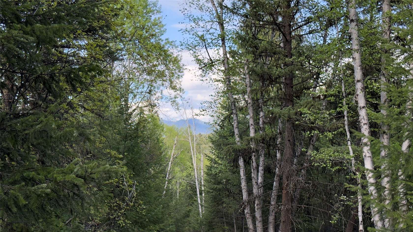 20 Acres of Recreational & Residential Land for Sale in Eureka, Montana