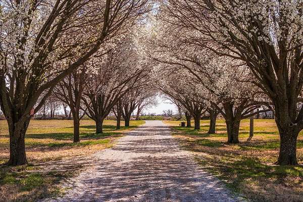 40.3 Acres of Land with Home for Auction in Belle Plaine, Kansas