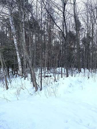 8 Acres of Commercial Land for Sale in Mackinaw City, Michigan