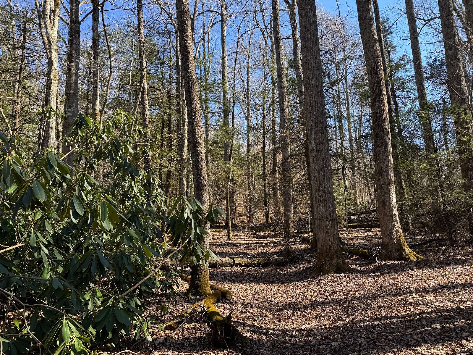 1.87 Acres of Residential Land for Sale in Newland, North Carolina