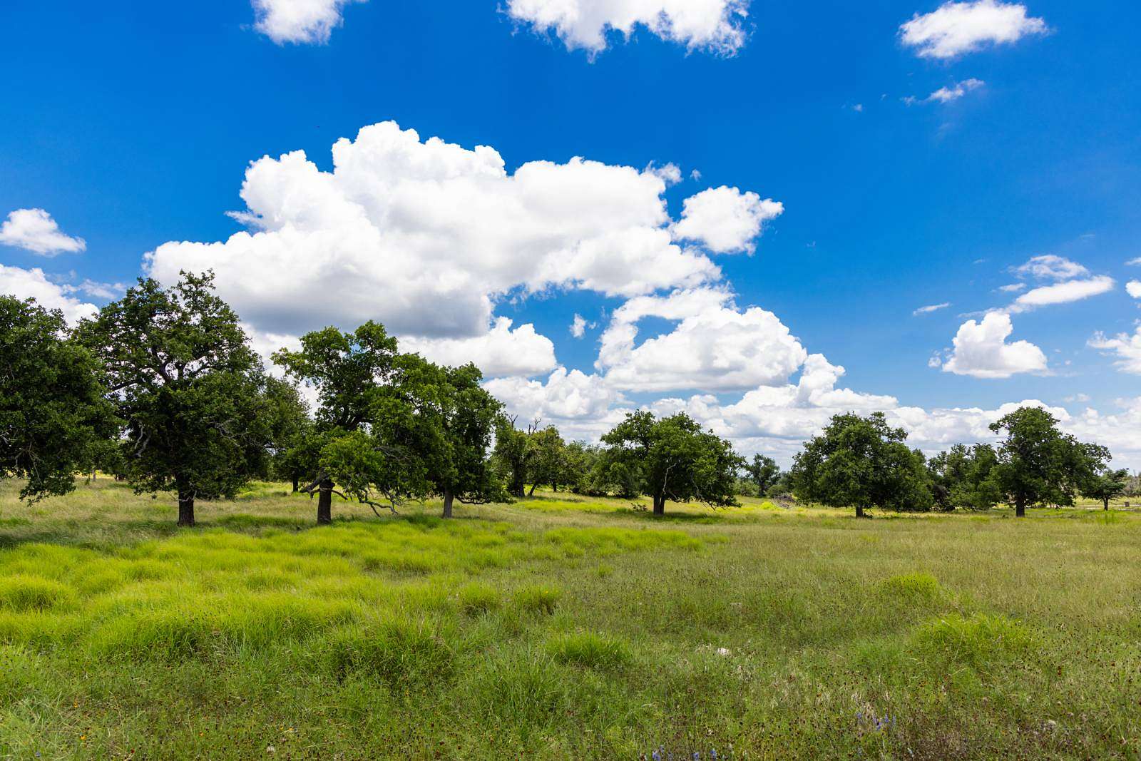 10.8 Acres of Land for Sale in Fredericksburg, Texas