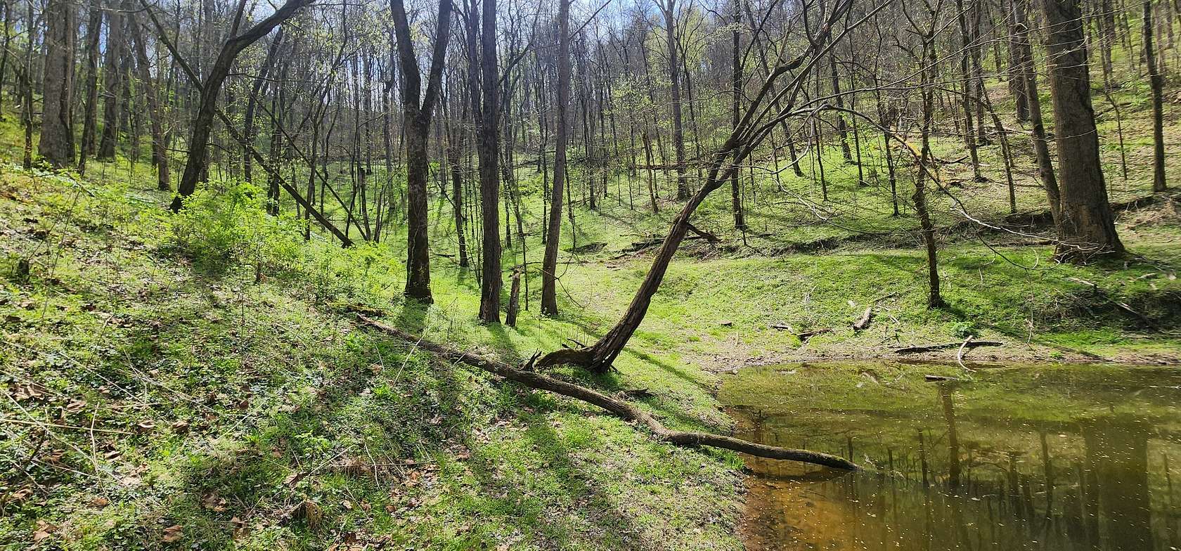 25.4 Acres of Land for Sale in Dowelltown, Tennessee