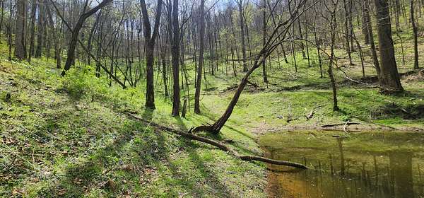 25.4 Acres of Land for Sale in Dowelltown, Tennessee