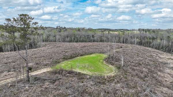 210 Acres of Recreational & Residential Land for Sale in Banks, Alabama