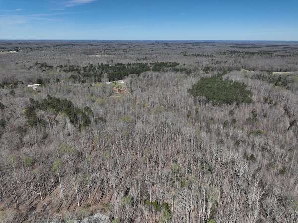 5.5 Acres of Residential Land for Sale in Cedar Grove, Tennessee