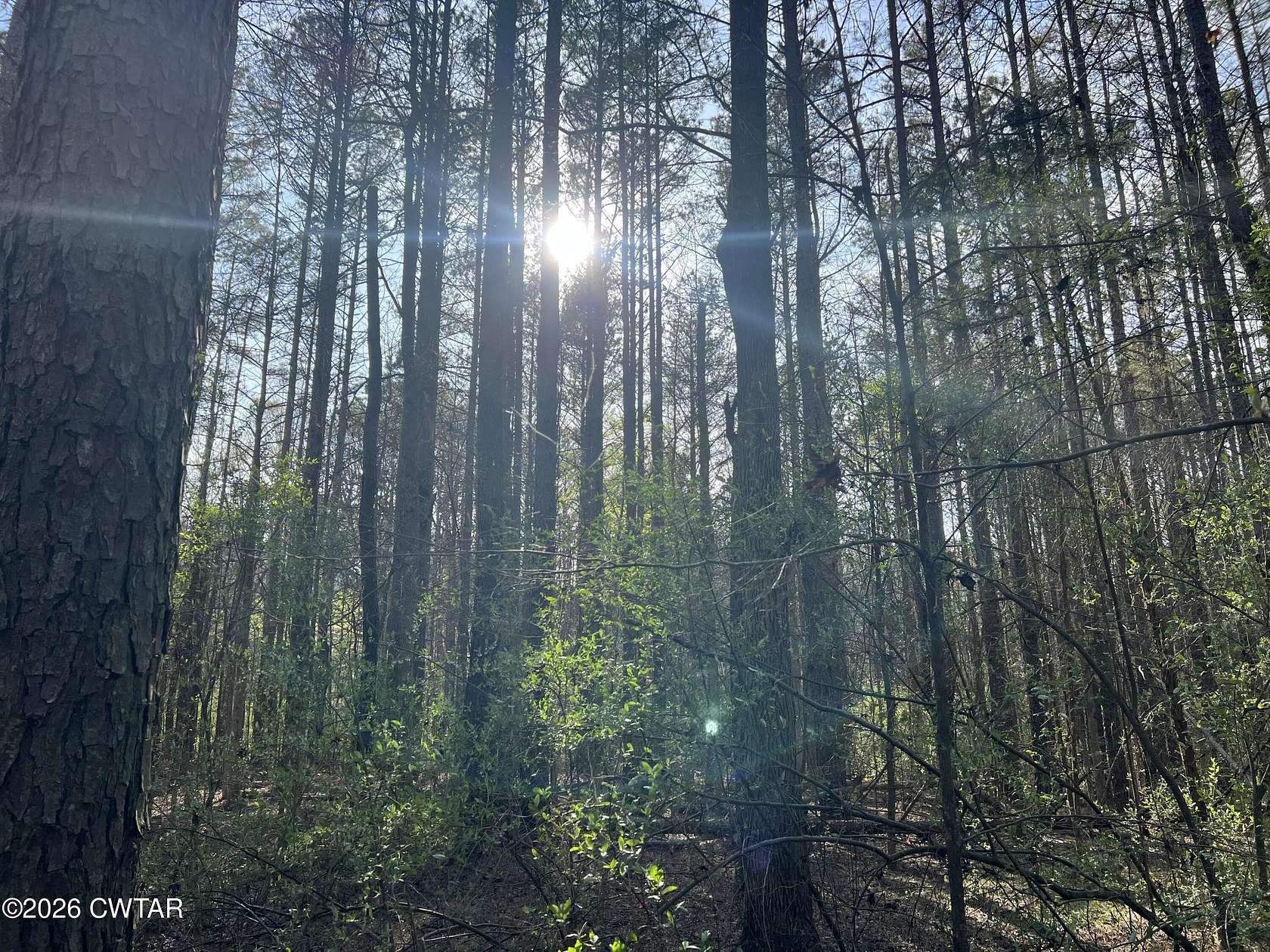 6.6 Acres of Residential Land for Sale in Cedar Grove, Tennessee