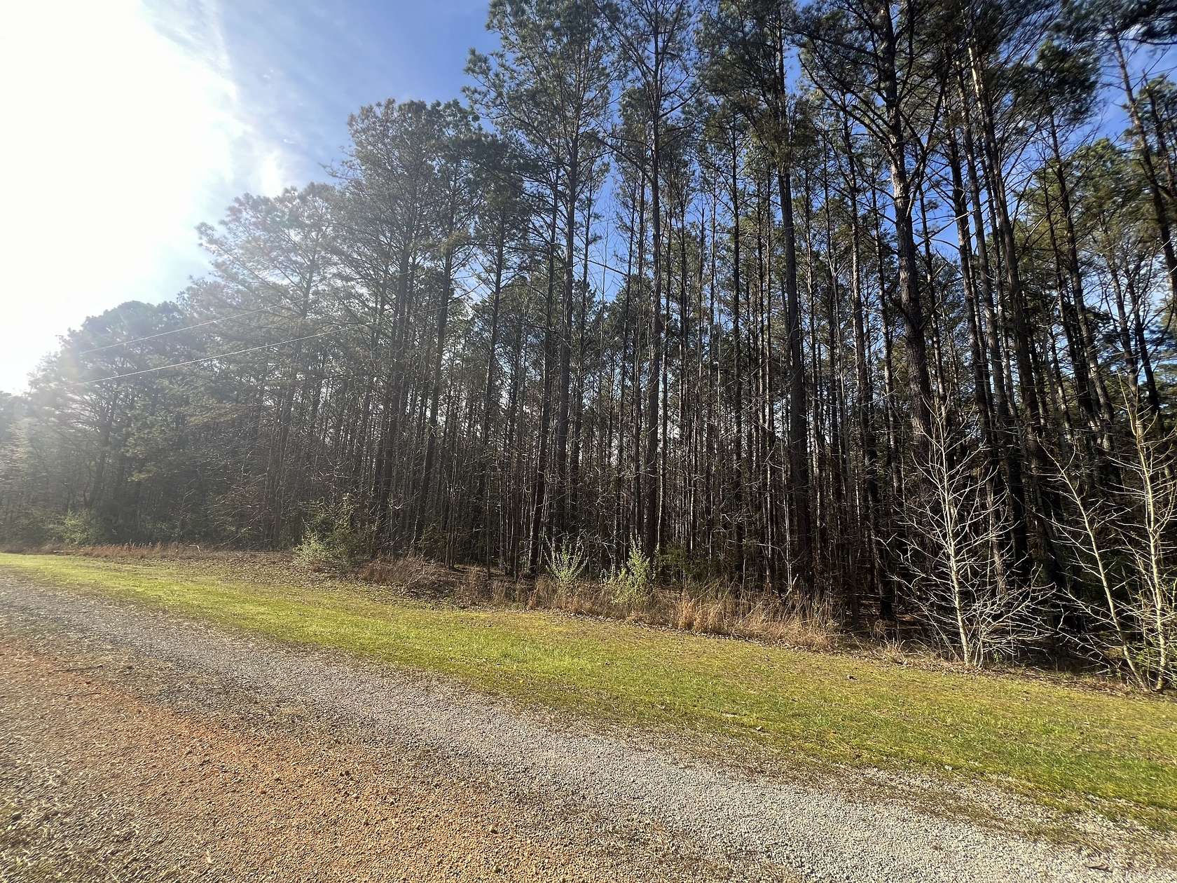 6.6 Acres of Residential Land for Sale in Cedar Grove, Tennessee