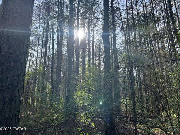 6.6 Acres of Residential Land for Sale in Cedar Grove, Tennessee