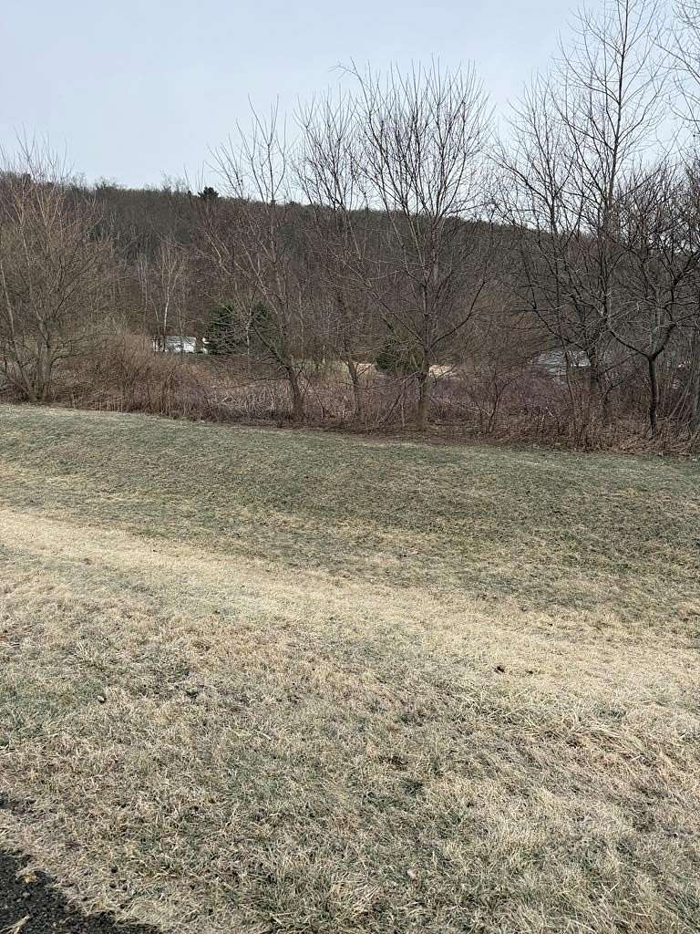 0.5 Acres of Residential Land for Sale in Waverly, New York