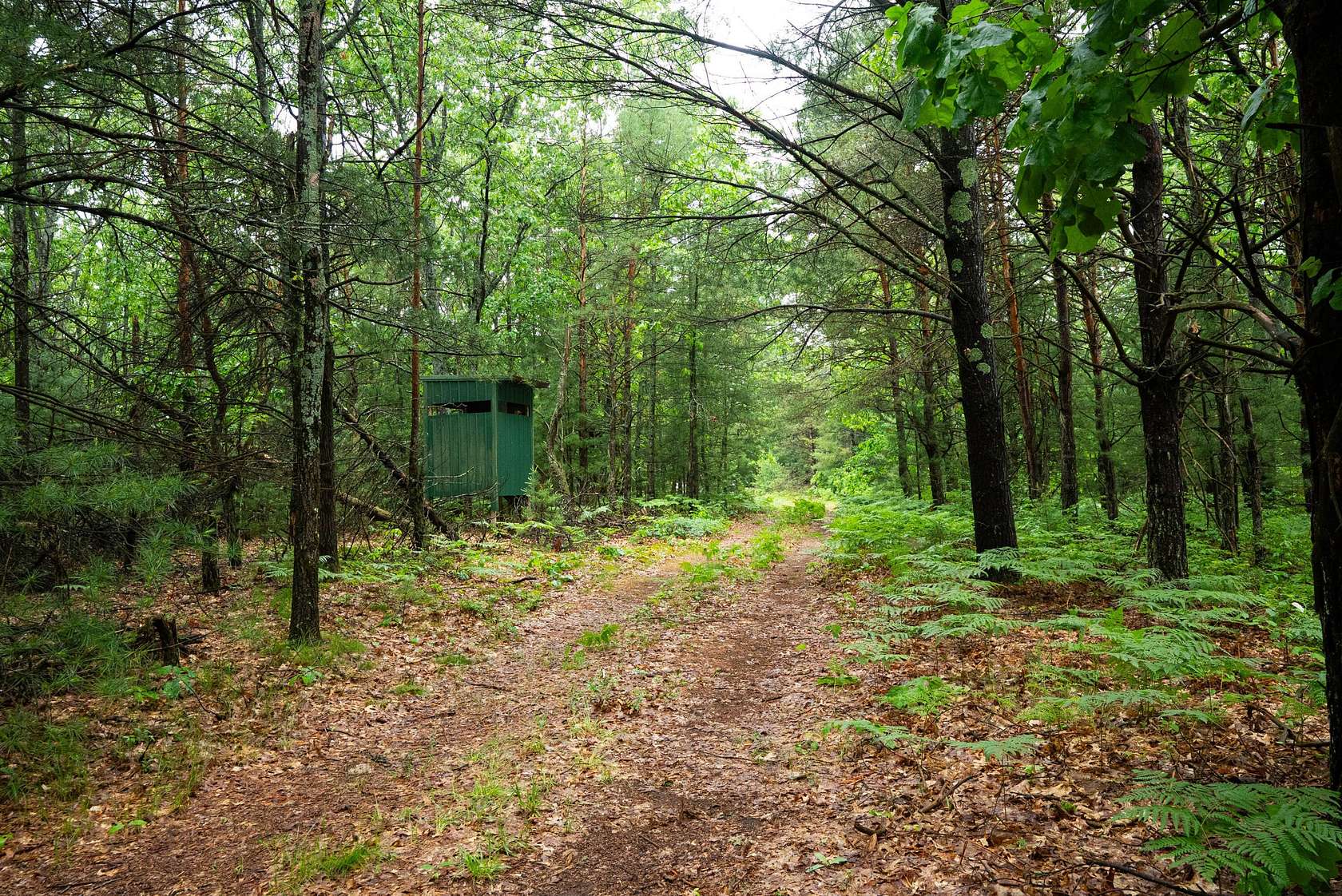 8 Acres of Residential Land for Sale in White Cloud, Michigan