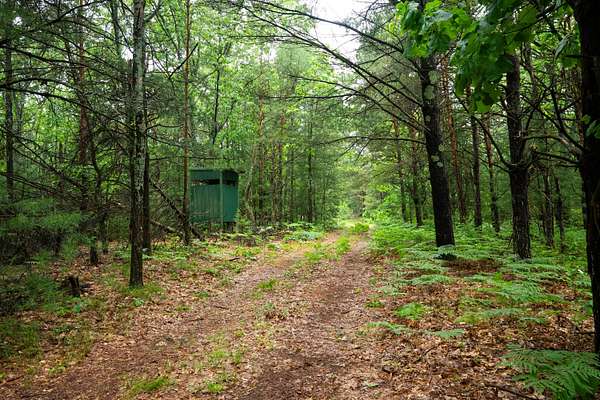 8 Acres of Residential Land for Sale in White Cloud, Michigan