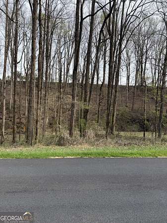 0.33 Acres of Residential Land for Sale in Gainesville, Georgia