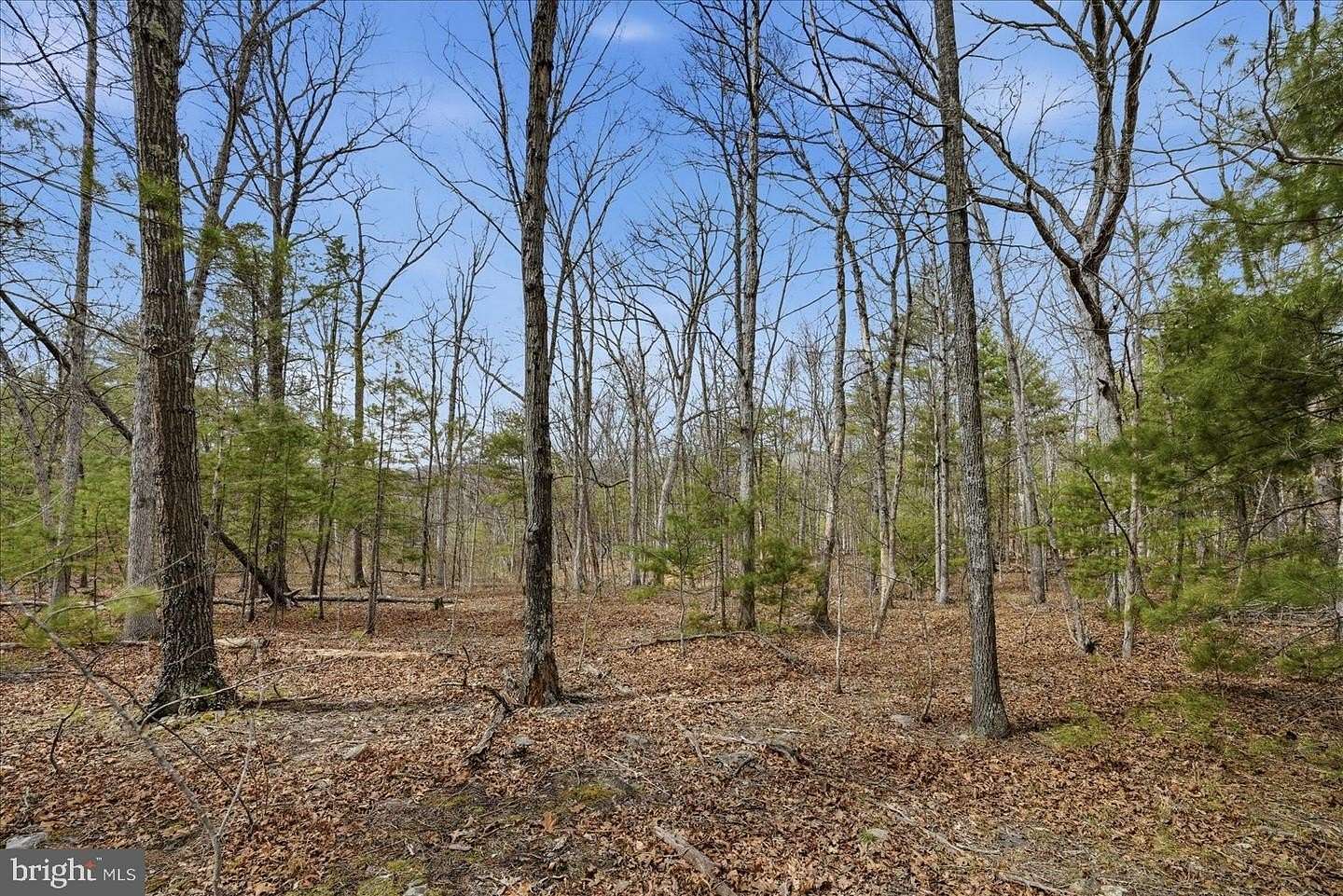 5.35 Acres of Land for Sale in Winchester, Virginia