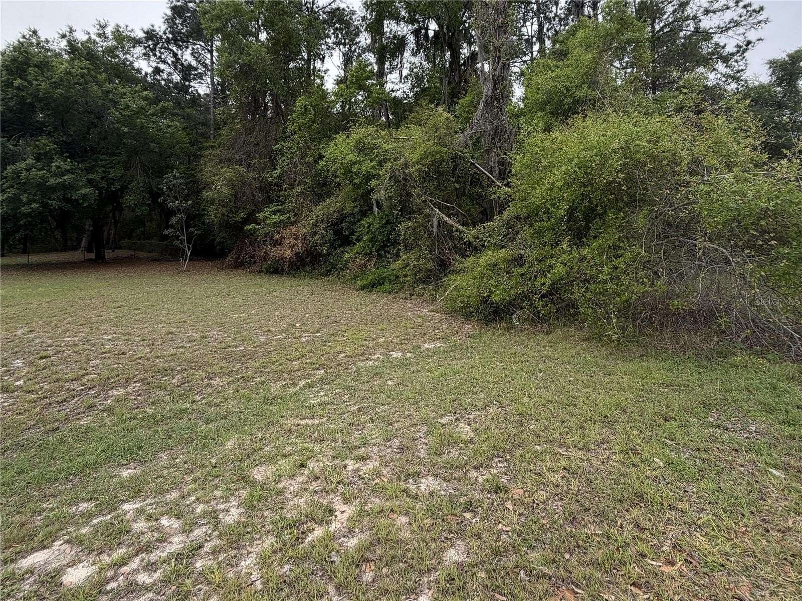 1 Acre of Residential Land for Sale in Hawthorne, Florida