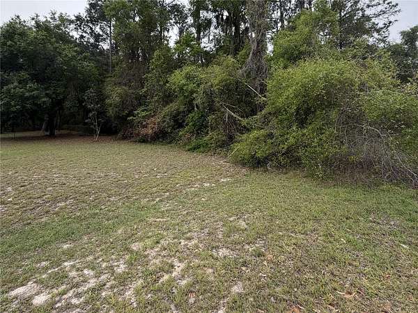 1 Acre of Residential Land for Sale in Hawthorne, Florida