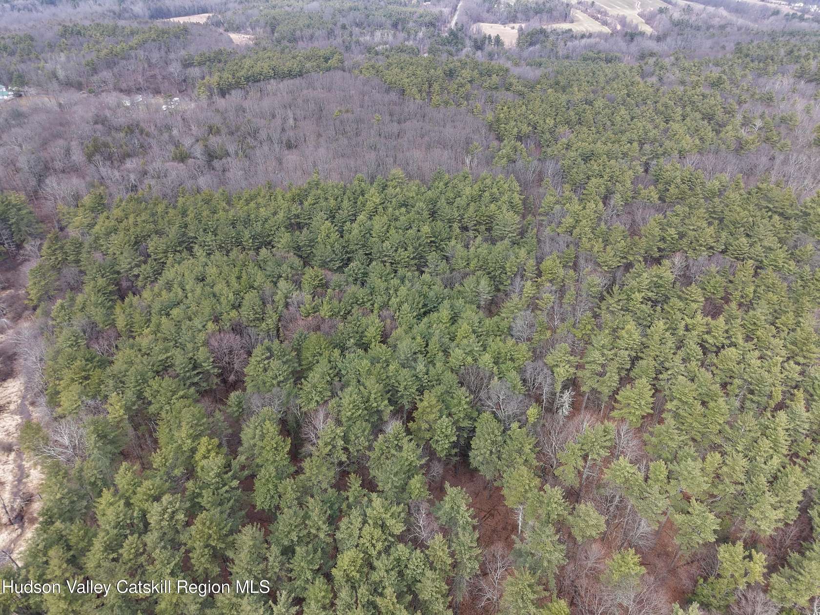 25 Acres of Recreational & Residential Land for Sale in Hannacroix, New York