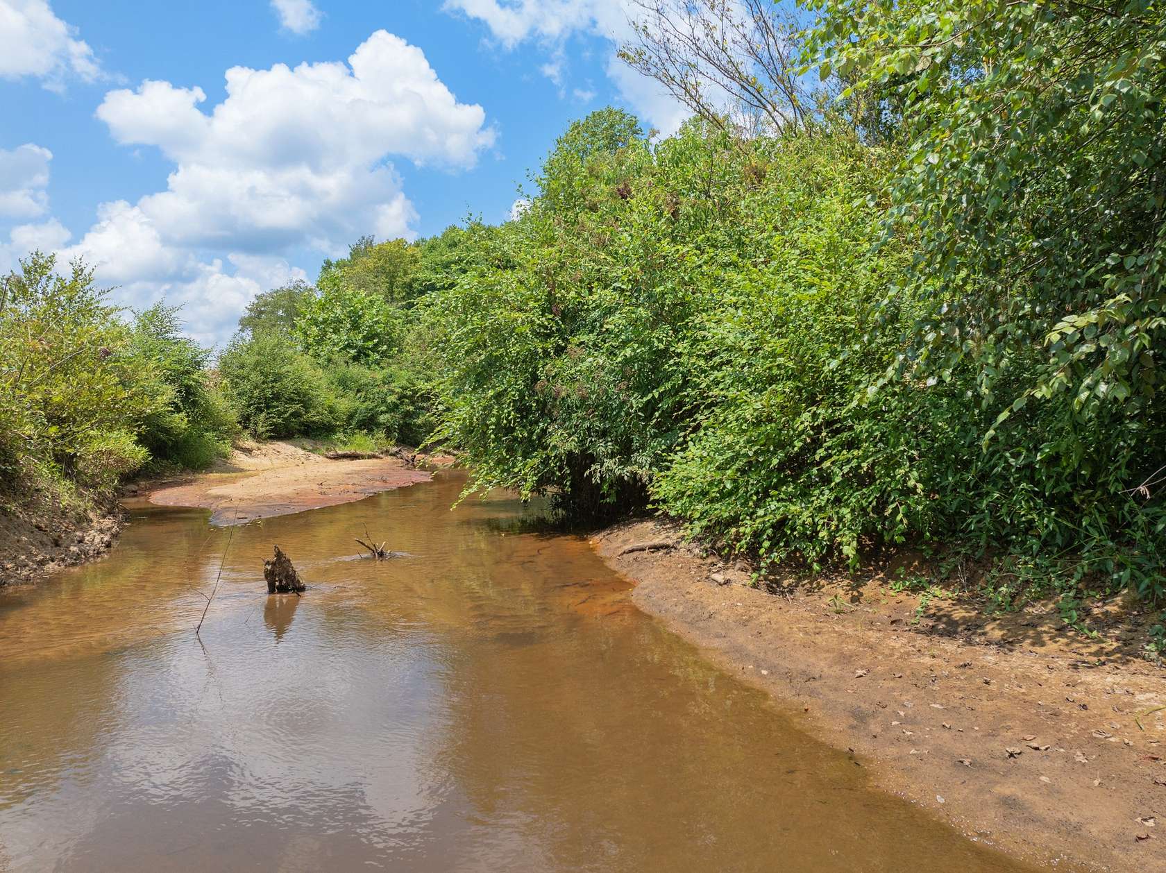 42.2 Acres of Land for Sale in Parsons, Tennessee