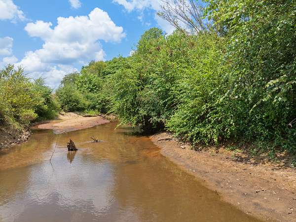 42.2 Acres of Land for Sale in Parsons, Tennessee