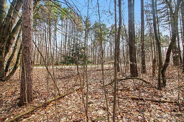 1 Acre of Land for Sale in Fennville, Michigan