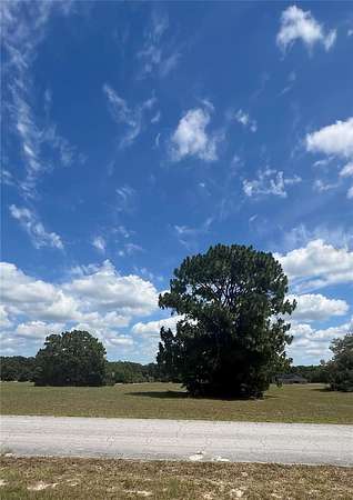1.17 Acres of Residential Land for Sale in Hernando, Florida