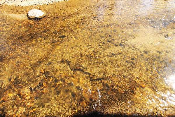 4.34 Acres of Land for Sale in Mills River, North Carolina