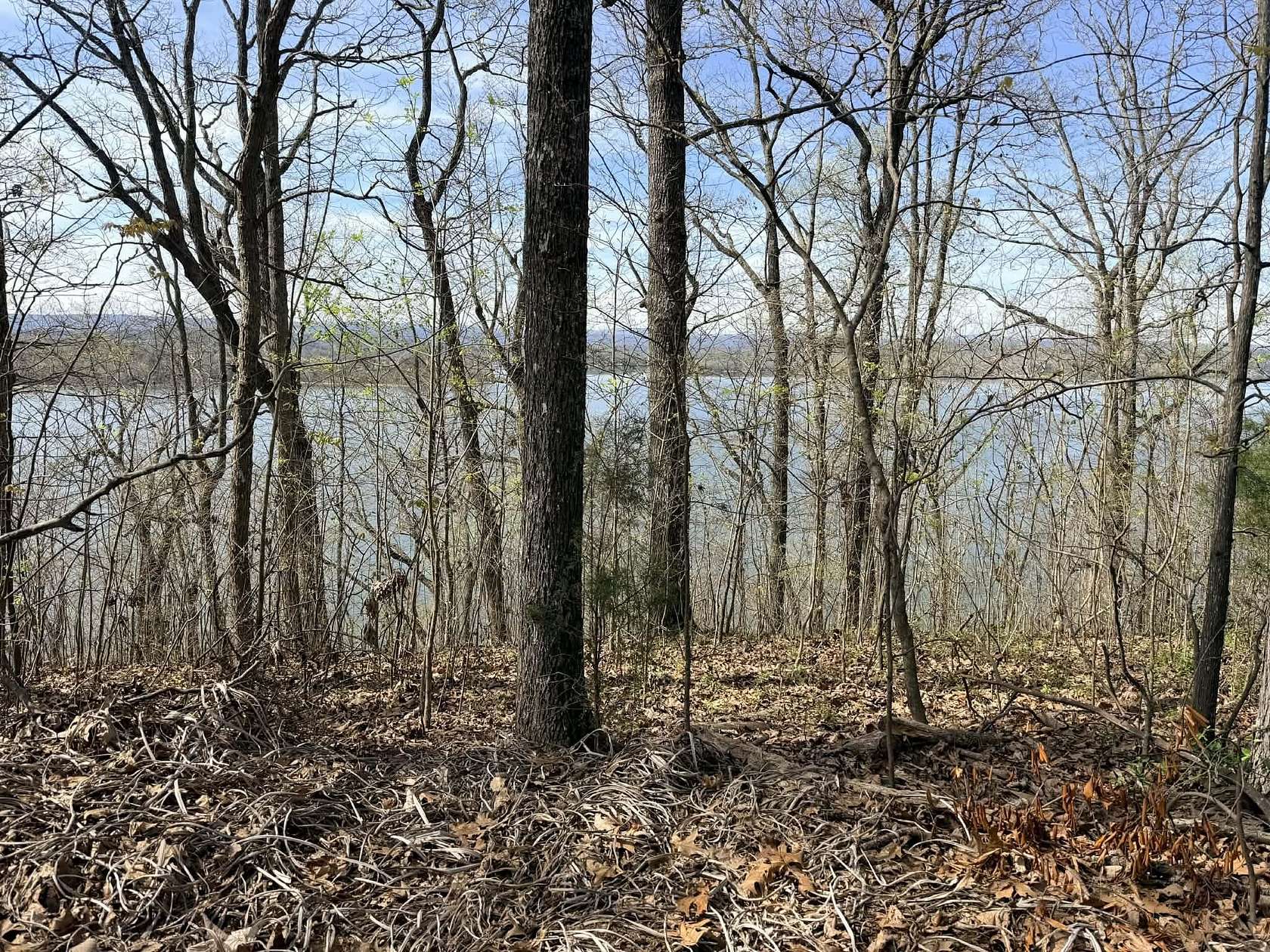 0.55 Acres of Residential Land for Sale in Ten Mile, Tennessee