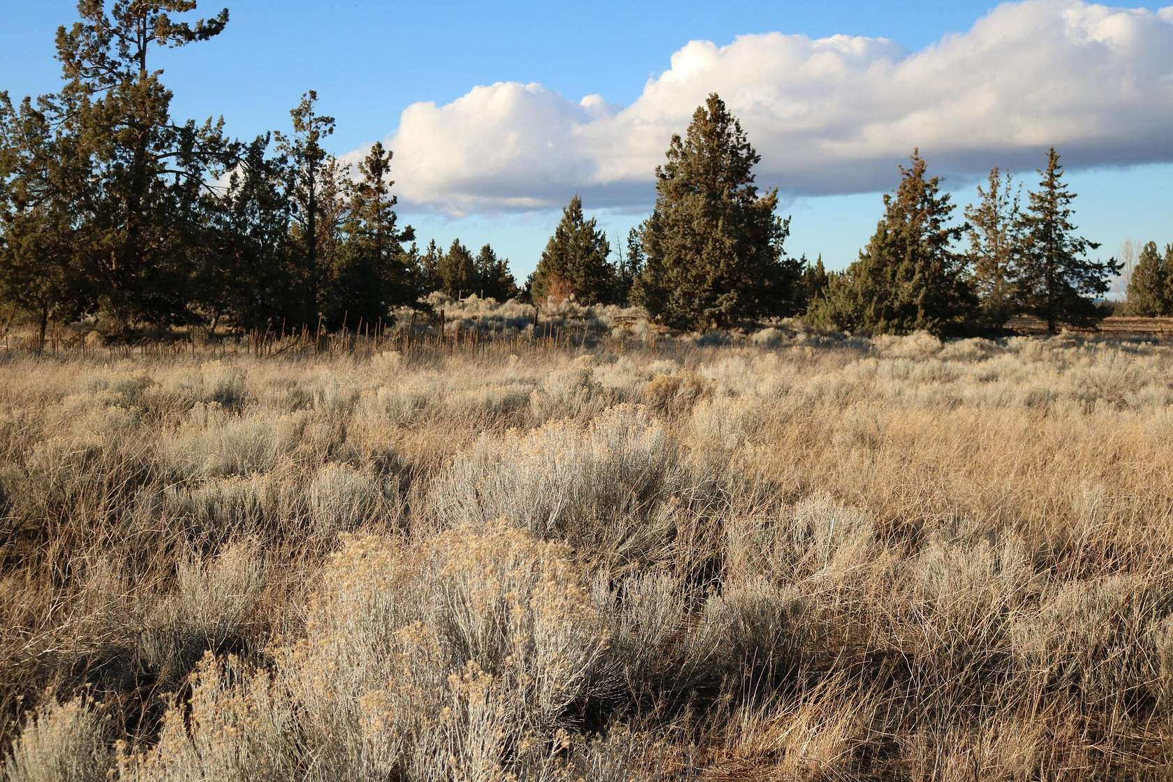 10 Acres of Residential Land for Sale in Bend, Oregon