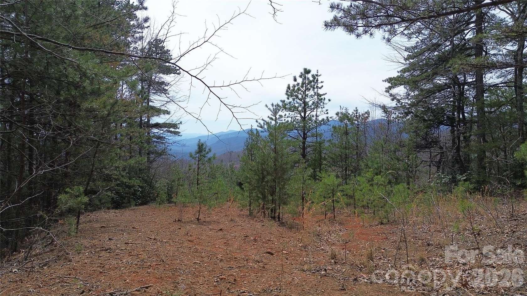 6 Acres of Residential Land for Sale in Old Fort, North Carolina