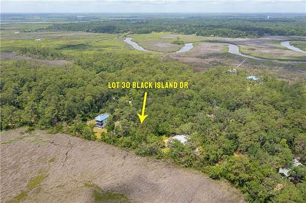 1.13 Acres of Residential Land for Sale in Darien, Georgia