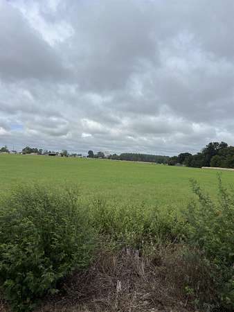 2.84 Acres of Residential Land for Sale in Lindale, Texas