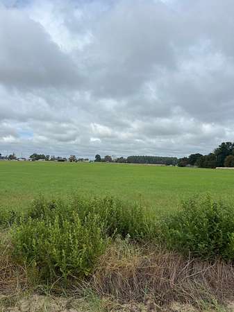 2.84 Acres of Residential Land for Sale in Lindale, Texas