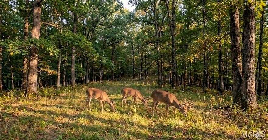 66.2 Acres of Land for Sale in Potosi, Missouri