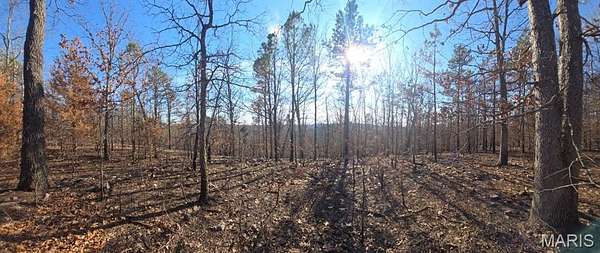 66.2 Acres of Land for Sale in Potosi, Missouri