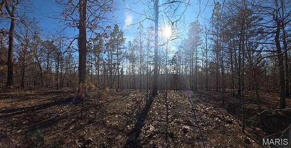 52.5 Acres of Agricultural Land for Sale in Potosi, Missouri