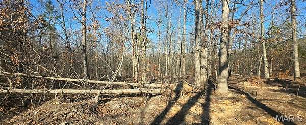 13.7 Acres of Agricultural Land for Sale in Potosi, Missouri