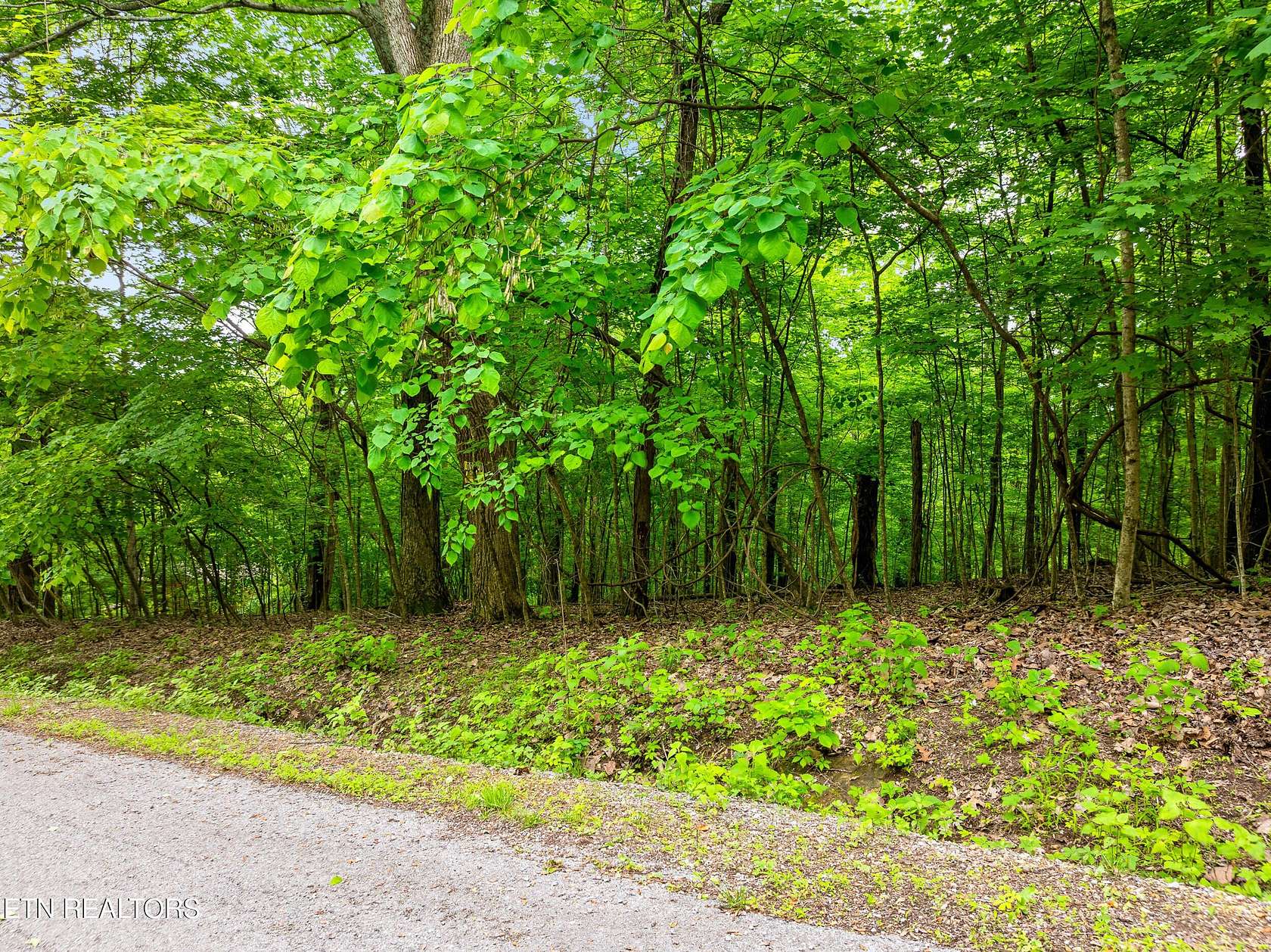 2.87 Acres of Residential Land for Sale in Caryville, Tennessee