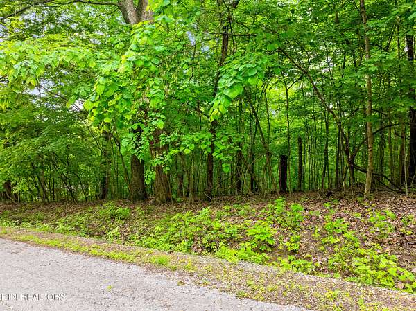 2.87 Acres of Residential Land for Sale in Caryville, Tennessee