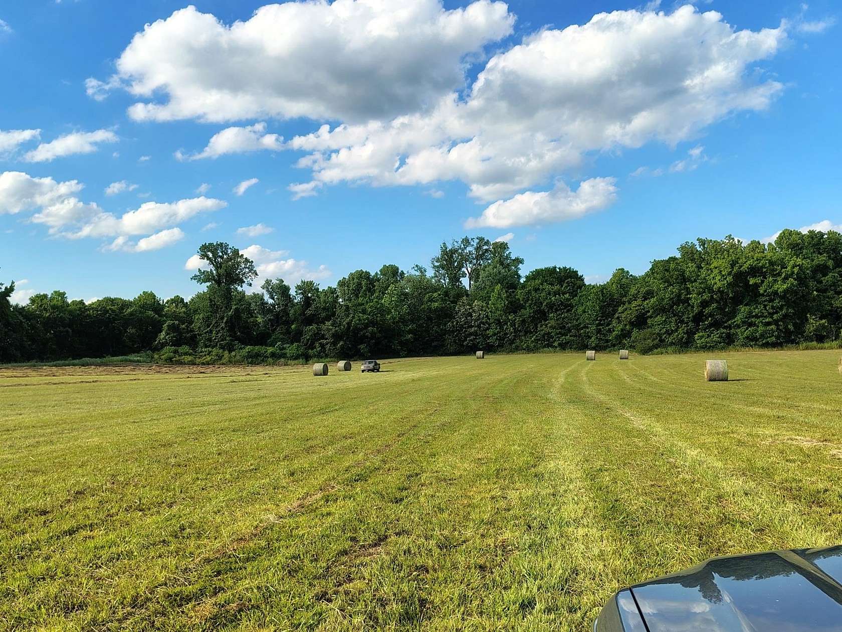 31.5 Acres of Agricultural Land for Sale in Henning, Tennessee