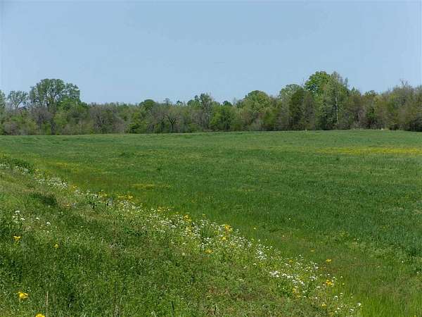 31.5 Acres of Agricultural Land for Sale in Henning, Tennessee