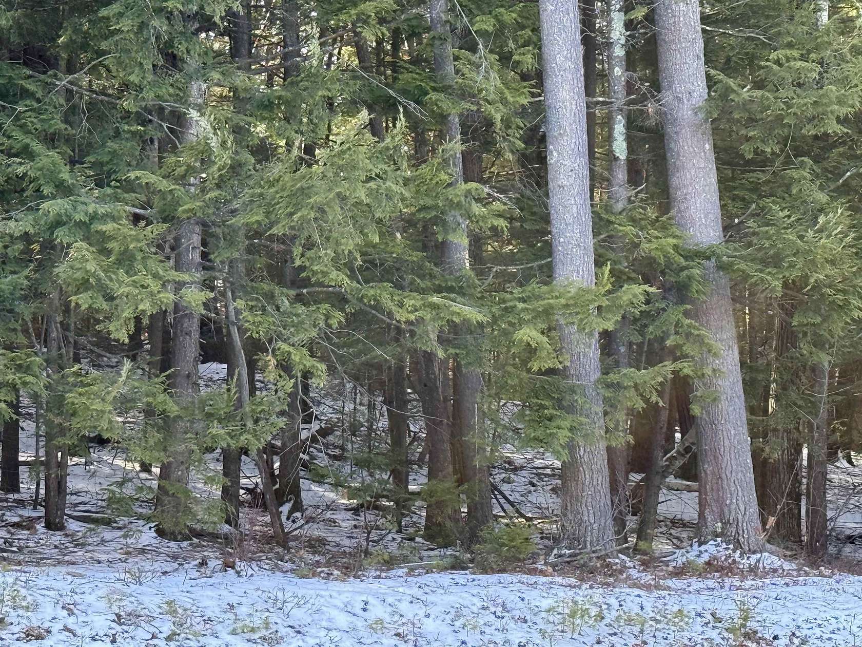 1.56 Acres of Land for Sale in New Hampton, New Hampshire