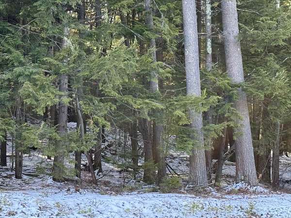 1.56 Acres of Land for Sale in New Hampton, New Hampshire